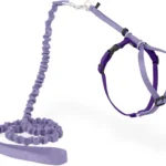 Petsafe arnes