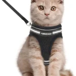 rabbitgoo arnes gatos